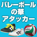 バレーボールの華 アタッカー（レフト・ライトプレーヤー）