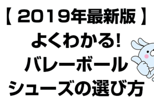 バレーボールシューズの選び方2019年最新版