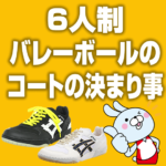 バレーボール コート大きさや競技場のラインについて