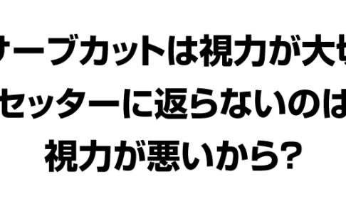 サーブカットが苦手な理由は視力が悪いから？